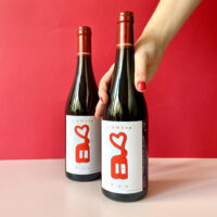 Le Vin Rouge de L'AMOUR FOU x Samuel Eckert – Image 4